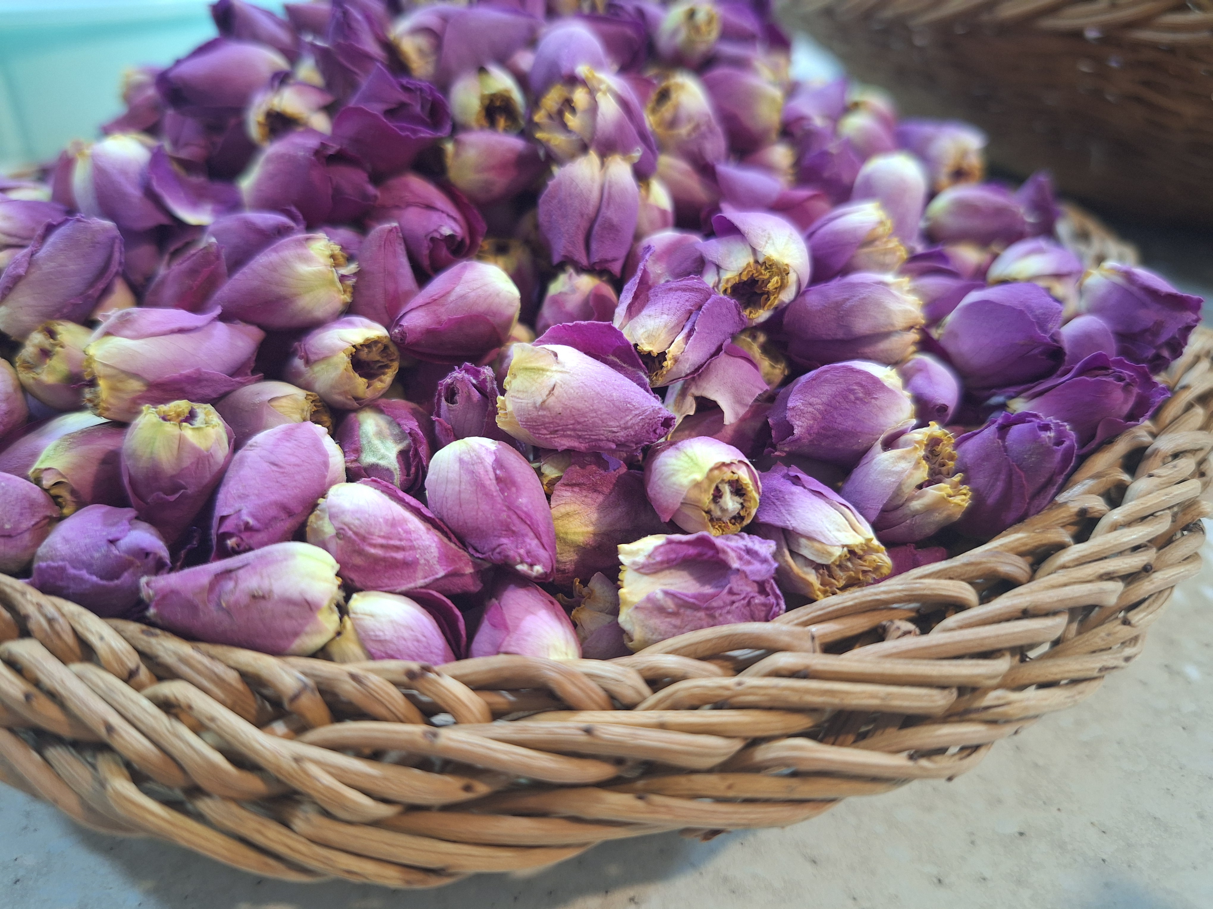 غنچه گل محمدی - تصویر 3