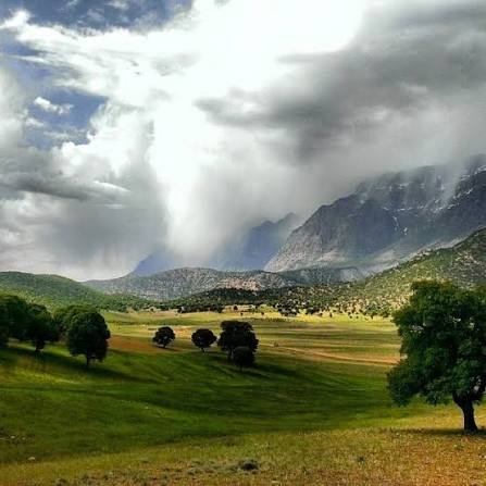 images.jpg | دشتک سی سخت | سی‌سخت