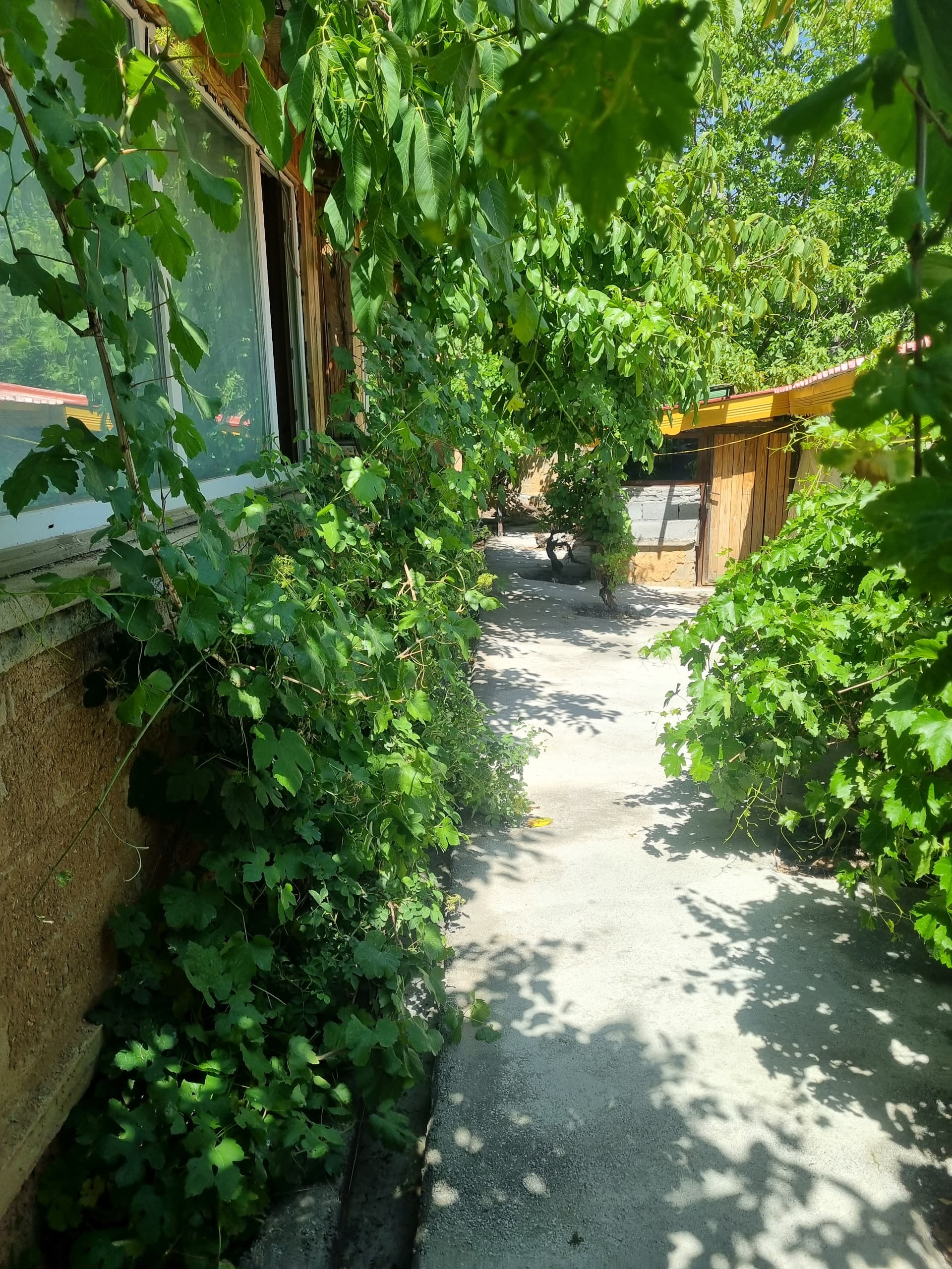 باغ اقامتی پردیس سی سخت | تصویر ویلا در سی‌سخت